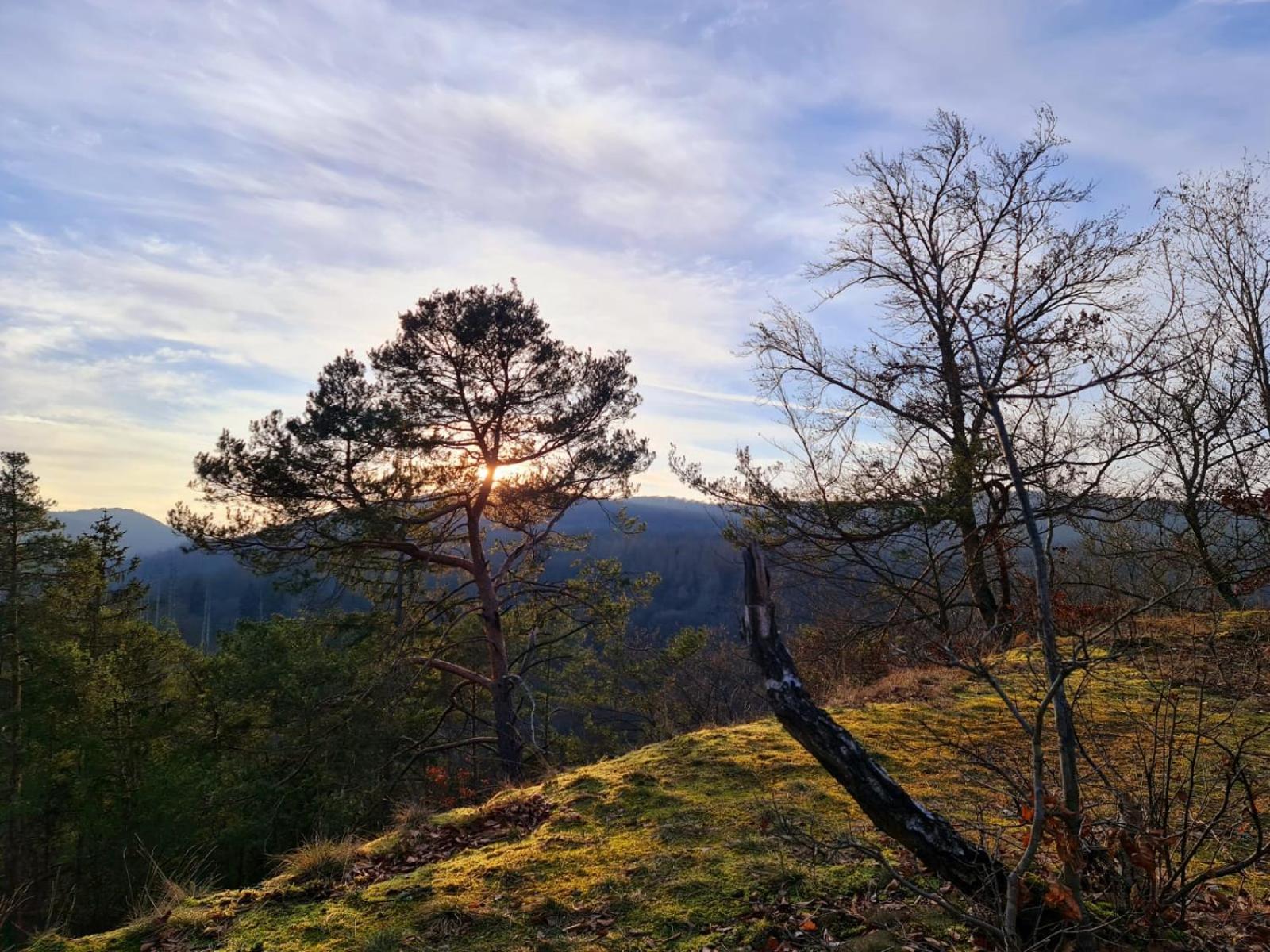 Ferienhaus Schoene Aussicht Ferienwohnung Gelb Hemfurth-Edersee Kültér fotó